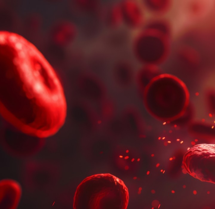 Red blood cells in vein. Blood cells flowing through a capillary bloodstream. Medicine and biology.