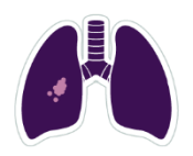 lungs